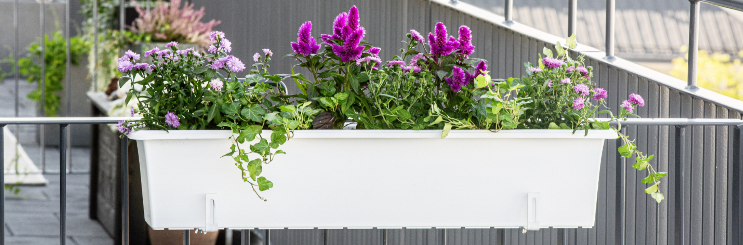 Blumenkästen für Balkon & Fensterbank einfach