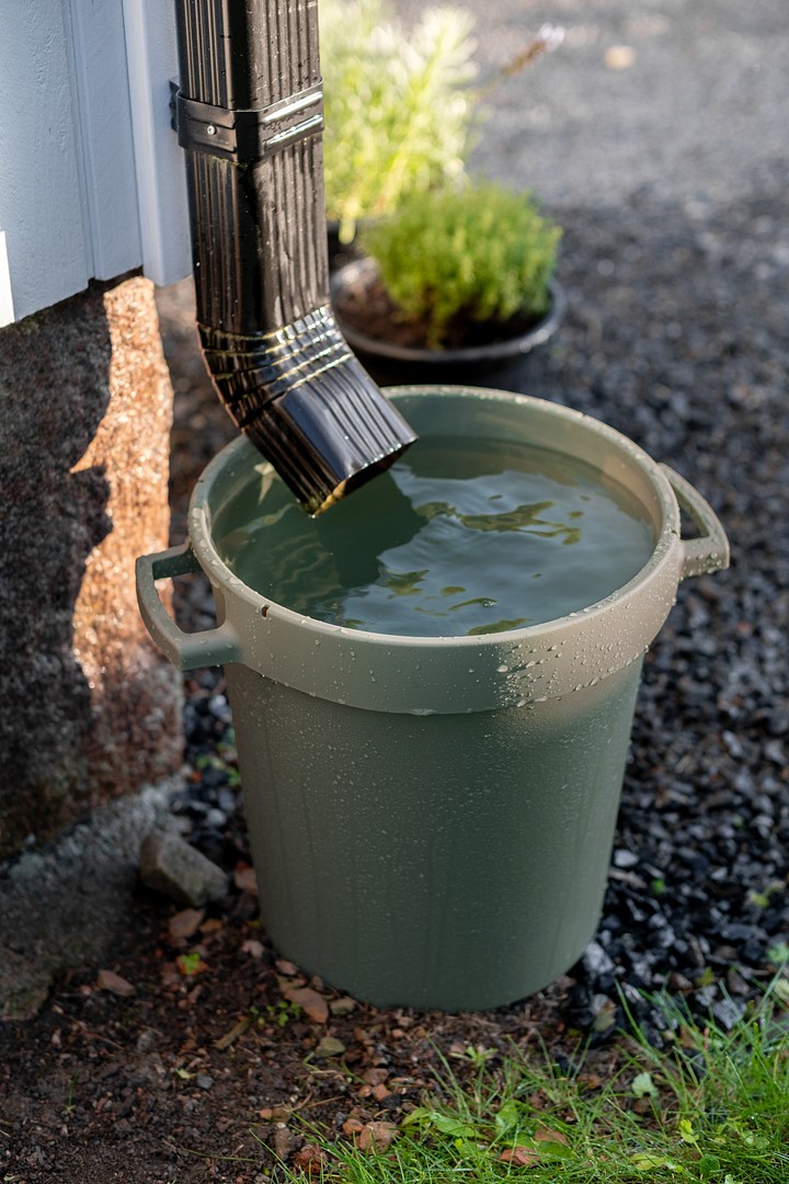 Orthex bin under downpipe collecting rainwater