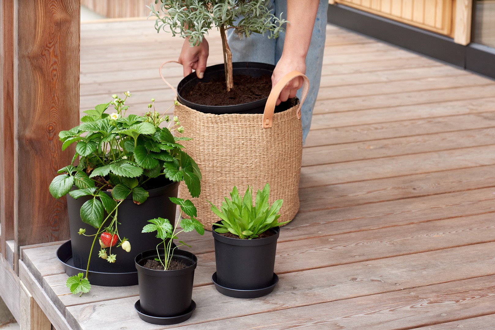 Orthex Cultivate pots on a terrace