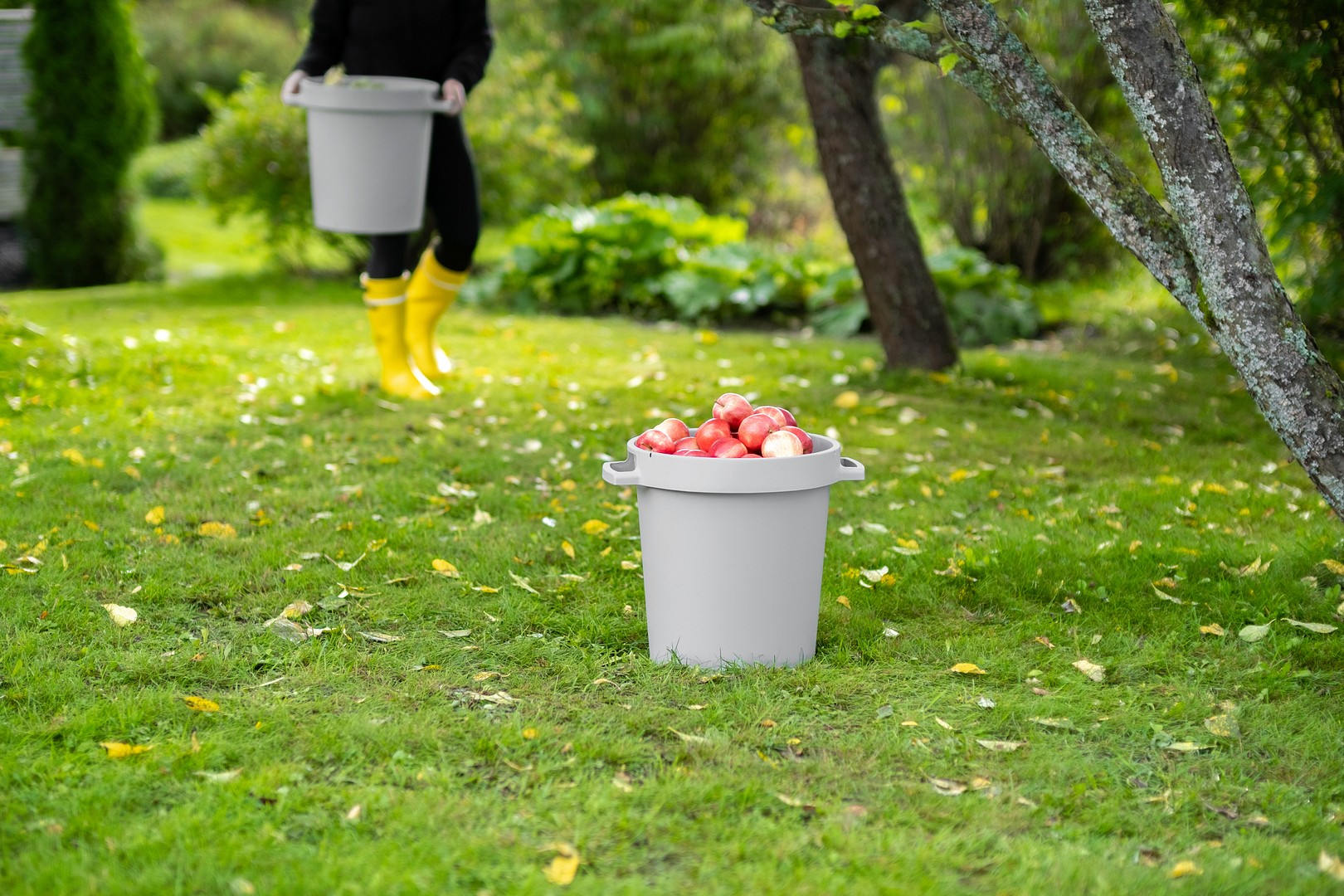 Make use of what nature gives you